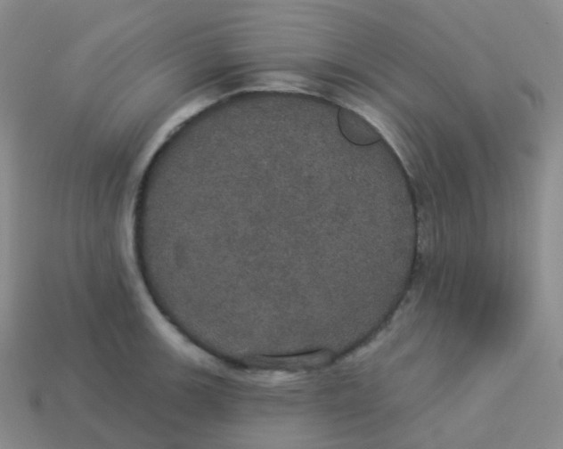 X0000113551139200910161428