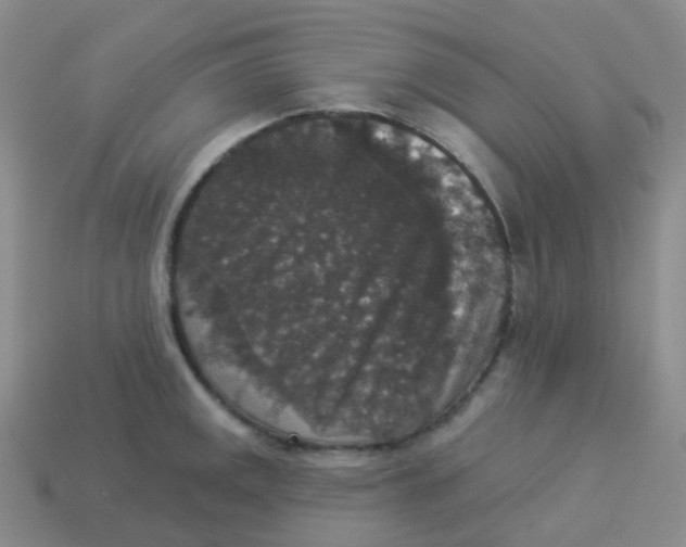 X0000113551141200910161428
