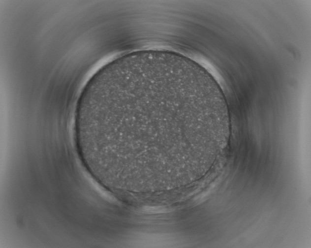 X0000113551142200910161428