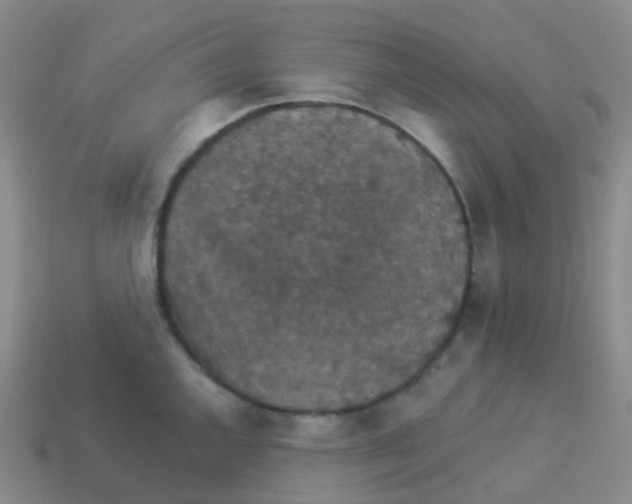 X0000113551144200910161428