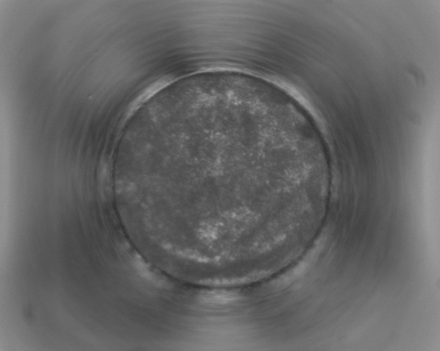 X0000113551145200910161428