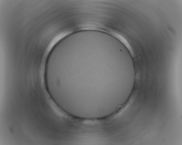 X0000113551146200910161428