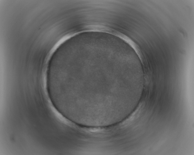 X0000113551147200910161428