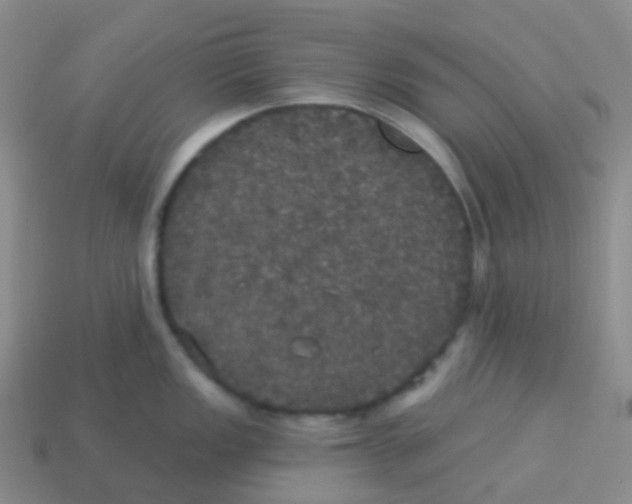 X0000113551149200910161428