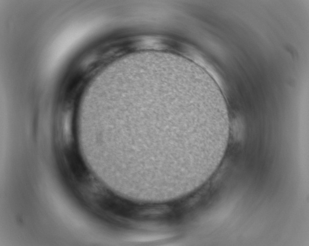 X0000113551150200910161428