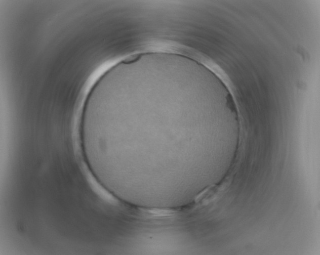 X0000113551152200910161428