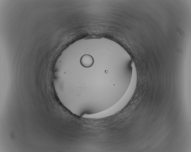 X0000113551153200910161428