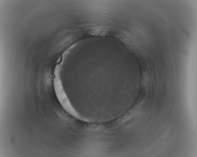 X0000113551154200910161428
