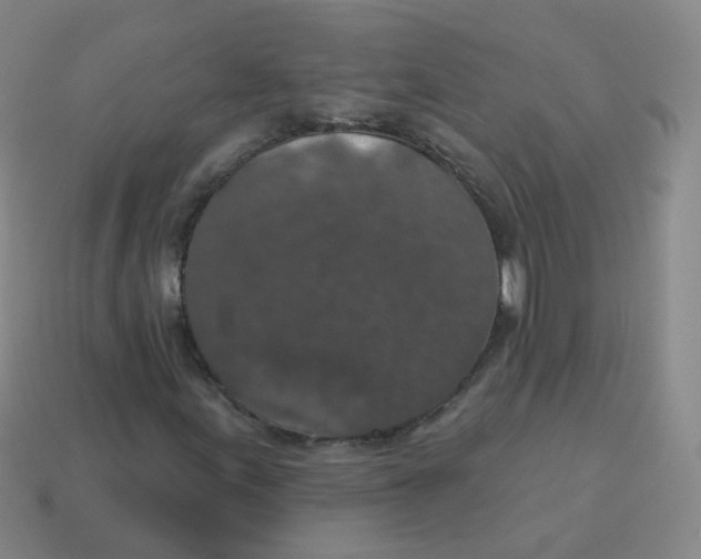 X0000113551155200910161428