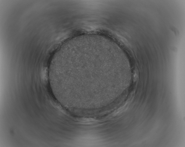 X0000113551156200910161428