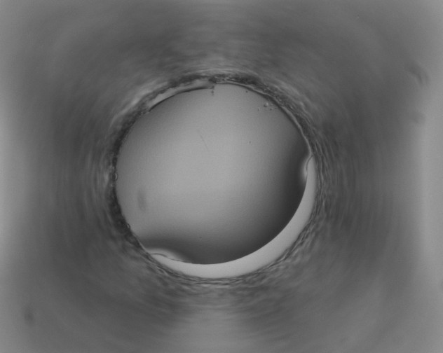 X0000113551157200910161428