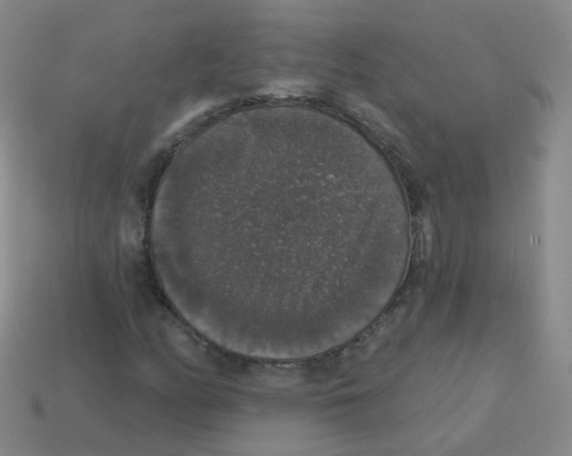 X0000113551158200910161428