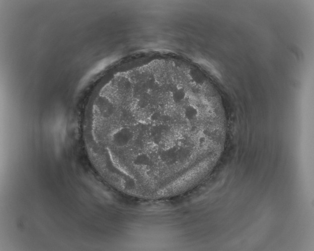 X0000113551159200910161427
