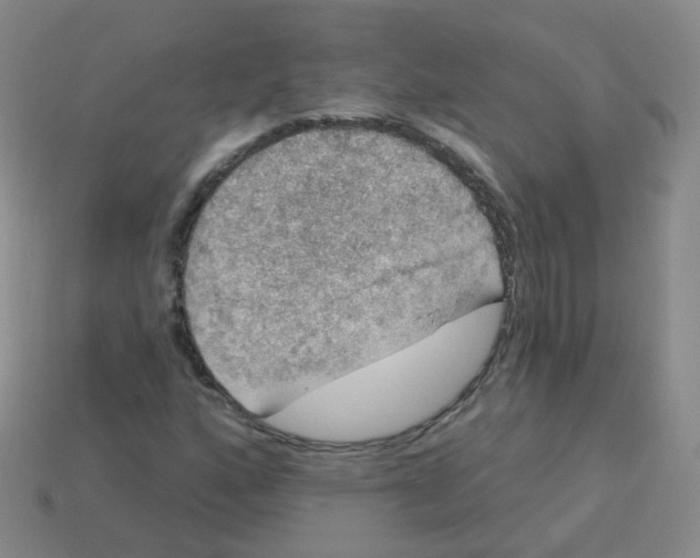 X0000113551160200910161427