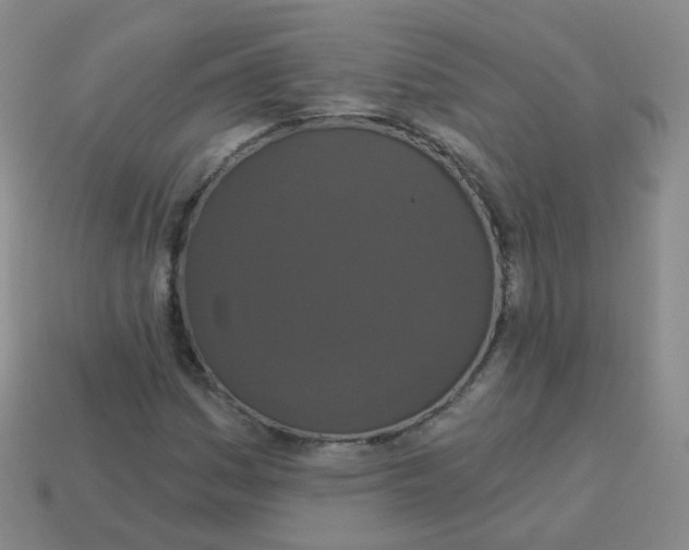 X0000113551161200910161427