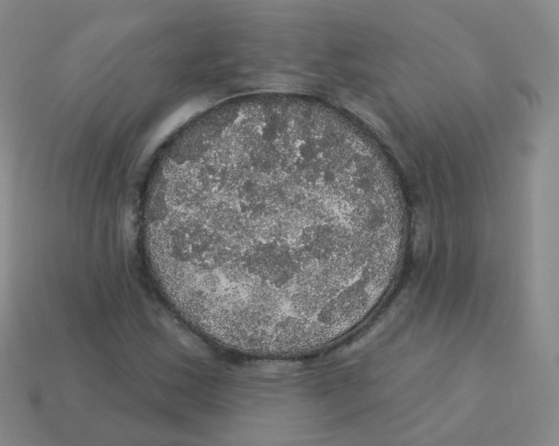 X0000113551163200910161427