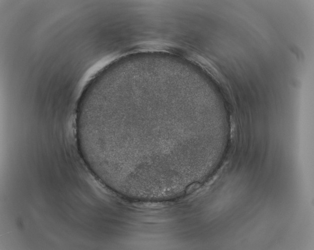 X0000113551164200910161427