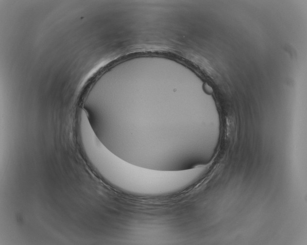 X0000113551165200910161427