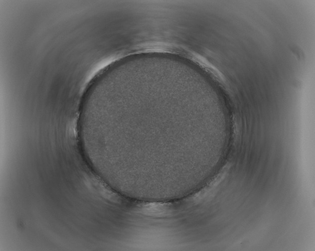 X0000113551166200910161427