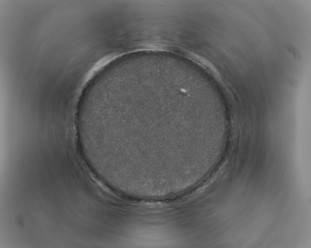 X0000113551168200910161427