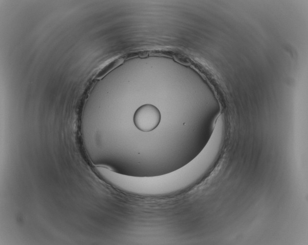 X0000113551169200910161427