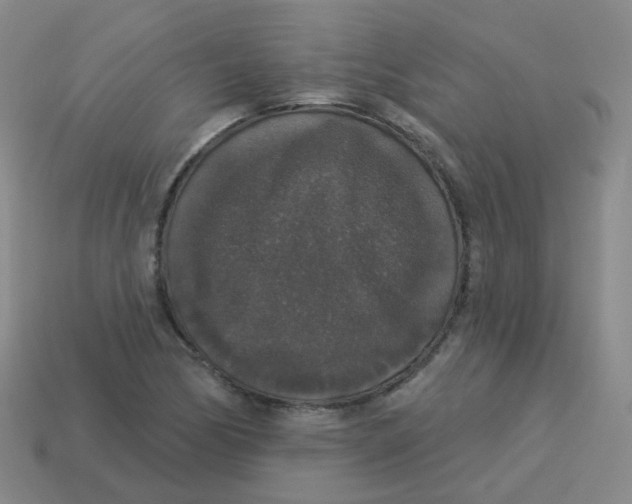 X0000113551170200910161427