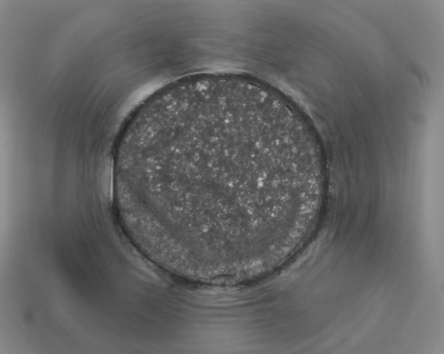 X0000113551171200910161427