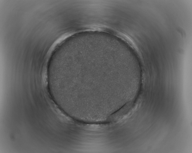 X0000113551172200910161427