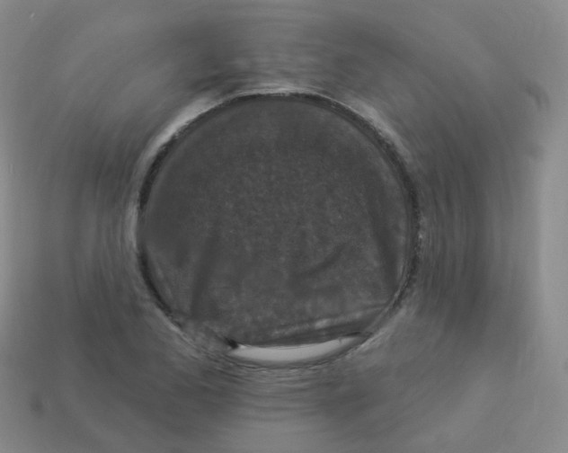 X0000113551173200910161427