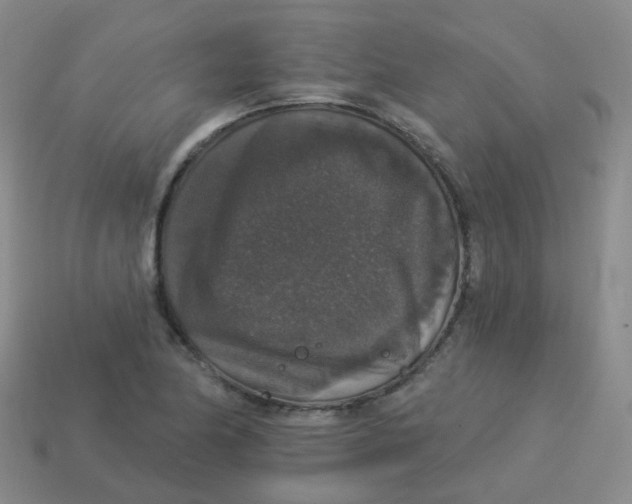 X0000113551174200910161427