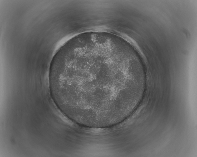 X0000113551176200910161427