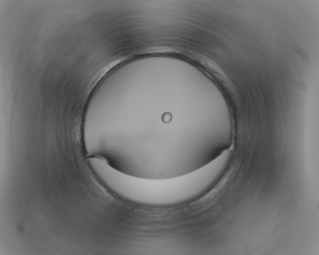X0000113551177200910161427