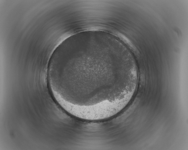 X0000113551178200910161427