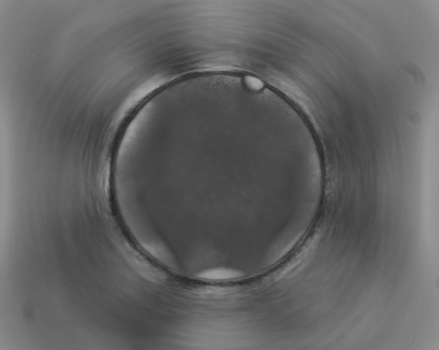X0000113551179200910161427