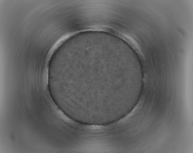 X0000113551180200910161427