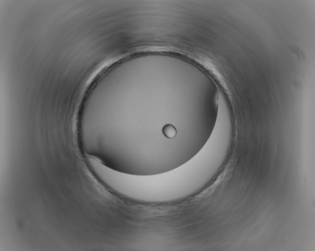 X0000113551181200910161427