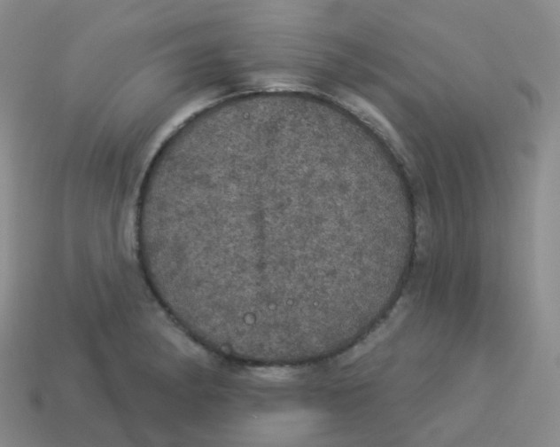 X0000113551182200910161427