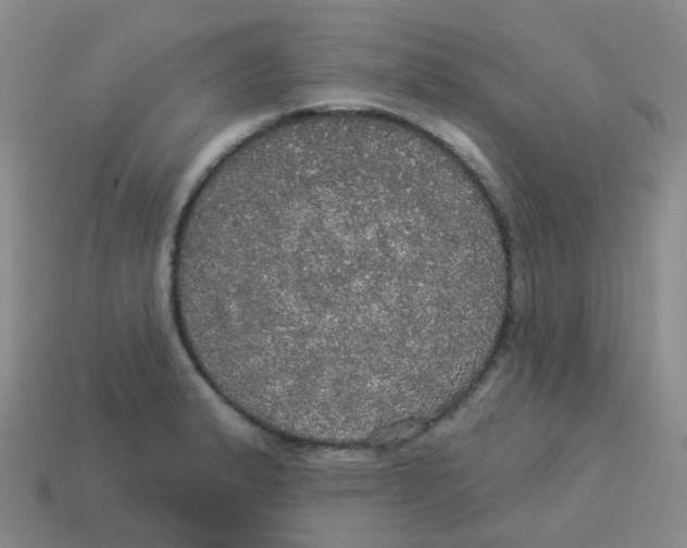 X0000113551183200910161427