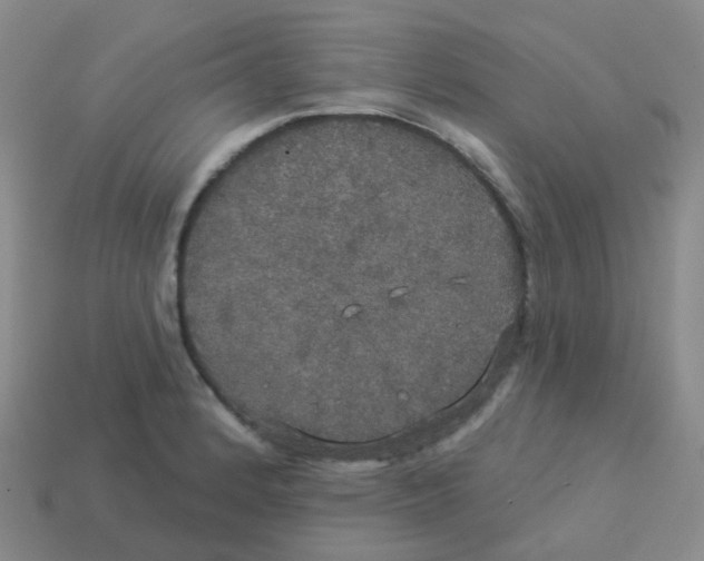X0000113551184200910161427