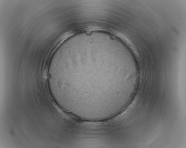 X0000113551185200910161427