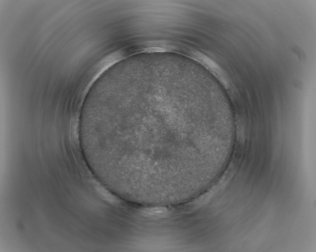 X0000113551186200910161427