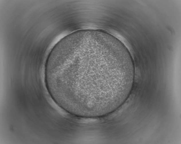 X0000113551187200910161427
