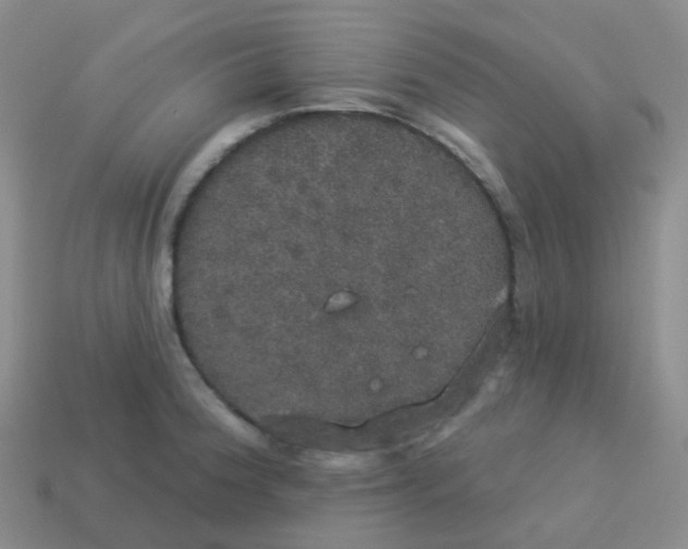 X0000113551188200910161427