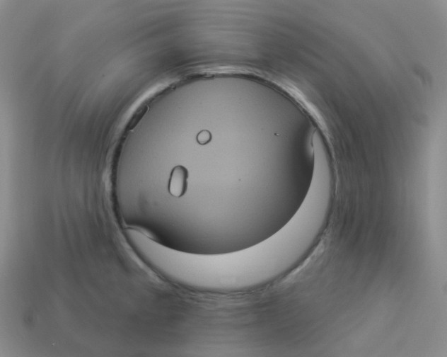 X0000113551189200910161427