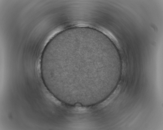 X0000113551190200910161427