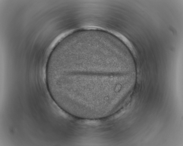 X0000113551191200910161427