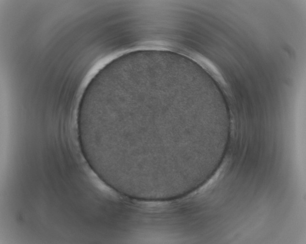 X0000113551192200910161427