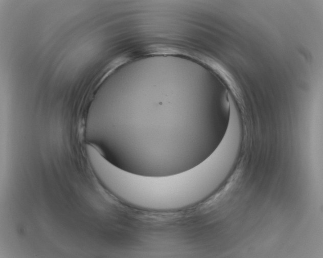 X0000113551193200910161427