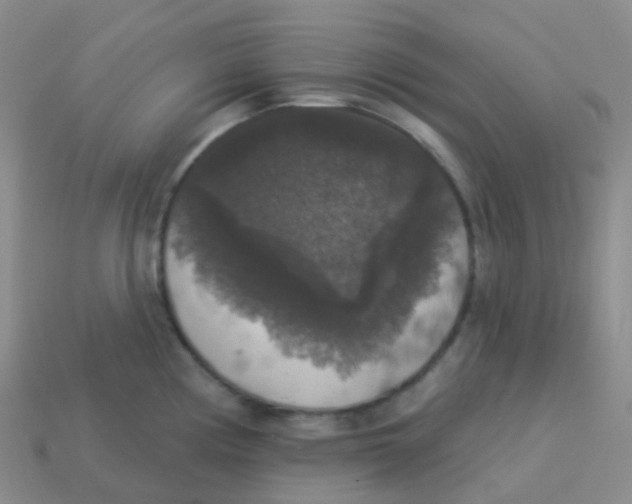 X0000113551194200910161427