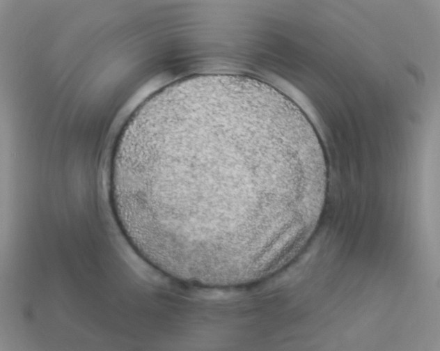 X0000113551195200910161427